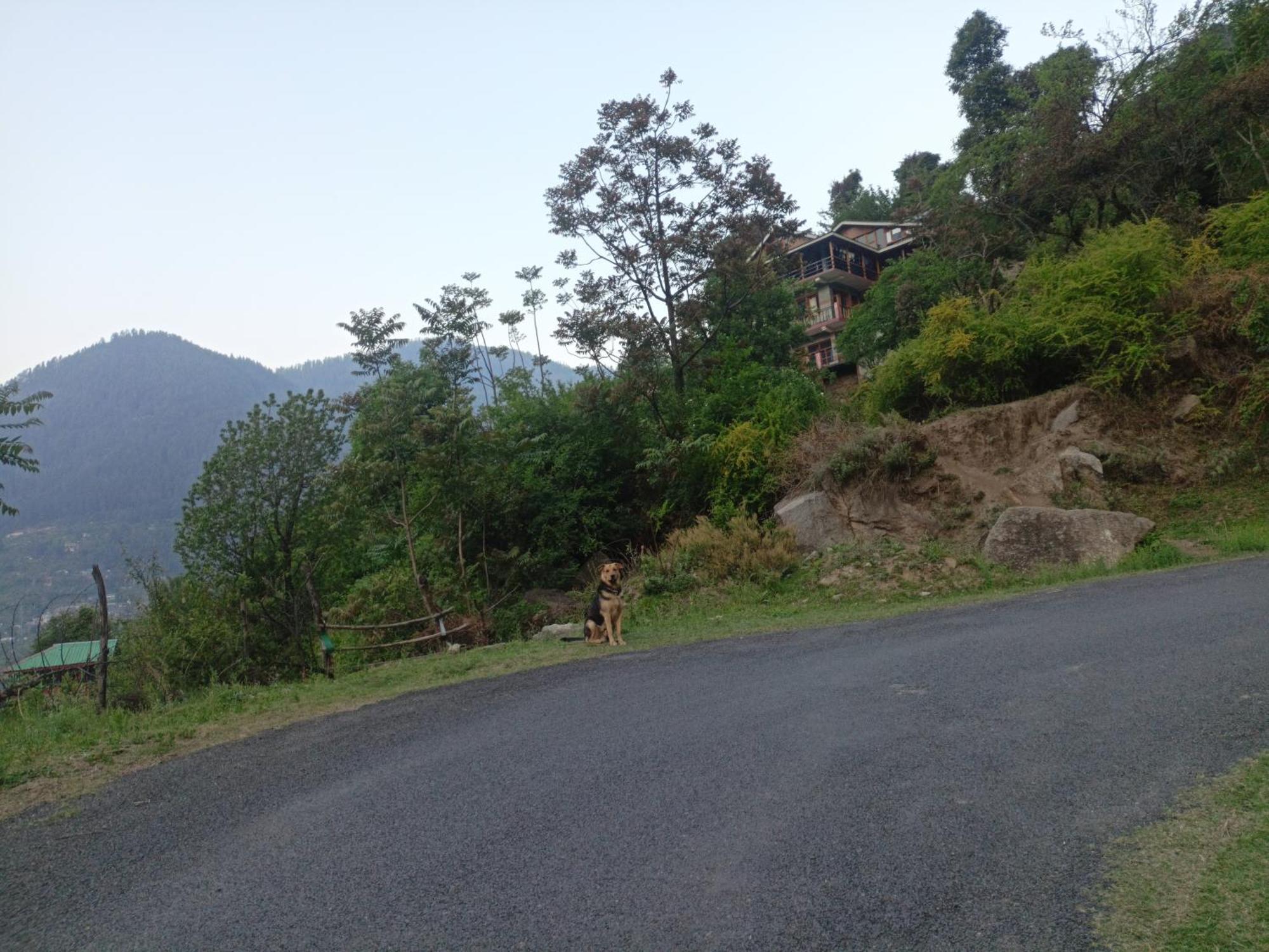 Tirthan Hilltop Home Stay Banjār エクステリア 写真