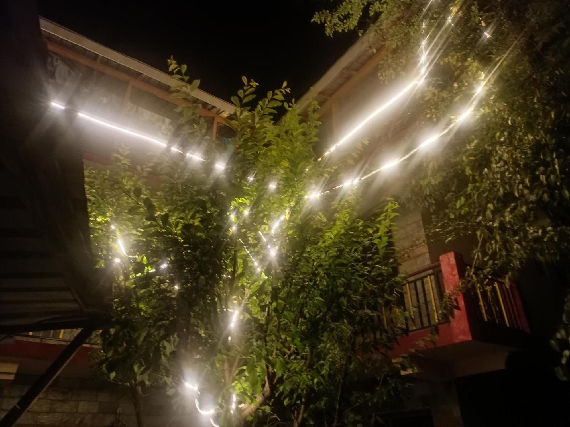Tirthan Hilltop Home Stay Banjār エクステリア 写真