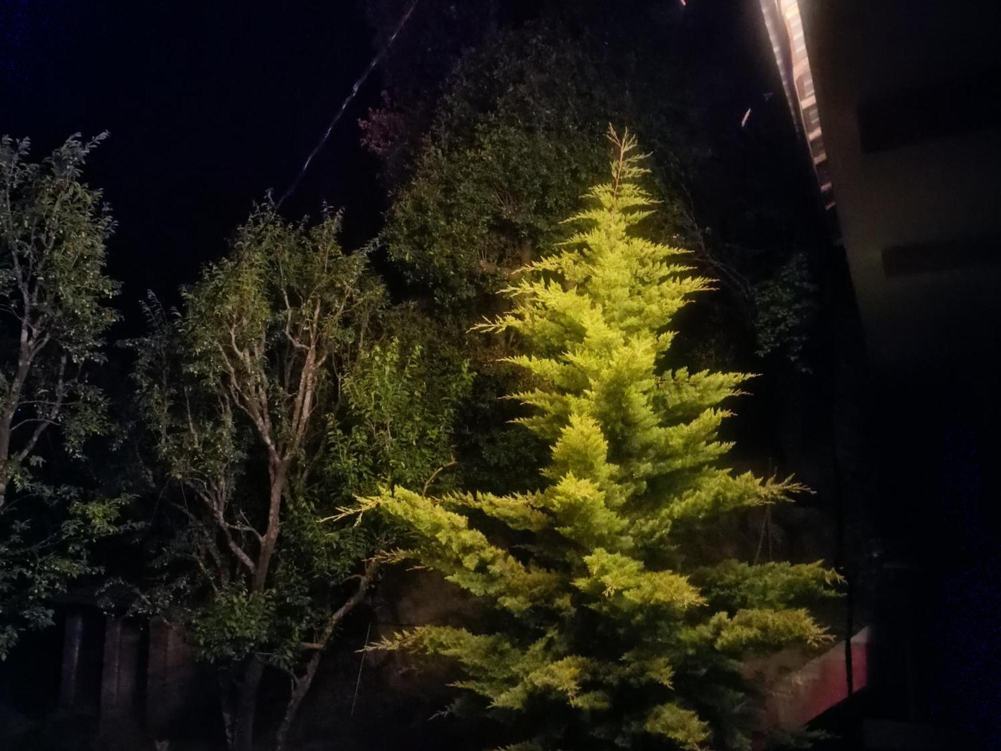 Tirthan Hilltop Home Stay Banjār エクステリア 写真